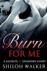 Book cover of Burn for Me by Lauren Blakely