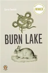 Book cover of Burn Lake by Carrie Fountain