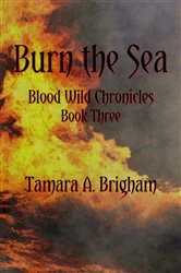Book cover of Burn the Sea by Tamara A Brigham