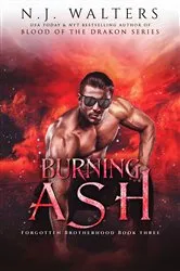 Book cover of Burning Ash by N.J. Walters