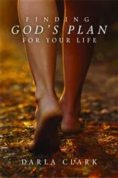 Book cover of Burning Fires by Cricket Shiloh Anderson