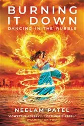 Book cover of Burning It Down by Unknown