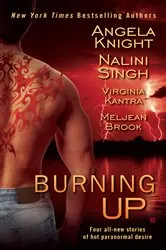 Book cover of Burning Up by Angela Knight
