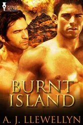 Book cover of Burnt Island by D. Nurkse