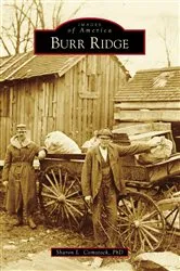 Book cover of Burr Ridge by Sharon L. Comstock PhD