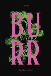 Book cover of Burr by Gore Vidal