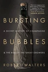 Book cover of Bursting Bubbles by Robert Walters