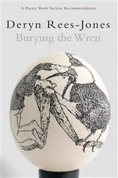 Book cover of Burying the Wren by Deryn Rees-Jones