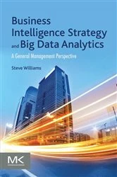 Book cover of Business Intelligence Strategy and Big Data Analytics by Steve Williams