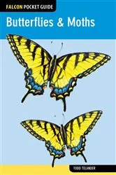 Book cover of Butterflies & Moths by Todd Telander