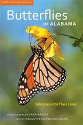 Book cover of Butterflies of Alabama by Paulette Haywood Ogard