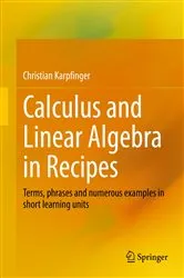Book cover of Calculus and Linear Algebra in Recipes by Christian Karpfinger