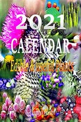 Book cover of Calendar  2021 by Elena Pankey
