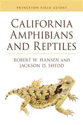 Book cover of California Amphibians and Reptiles by Robert Hansen