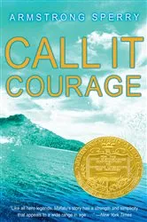 Book cover of Call It Courage by Armstrong Sperry