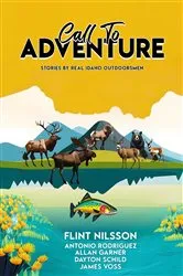 Book cover of Call To Adventure by Flint Nilsson