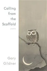 Book cover of Calling from the Scaffold by Gary Gildner
