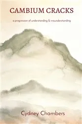 Book cover of CAMBIUM CRACKS by Cydney Chambers