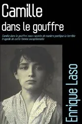 Book cover of Camille dans le gouffre by Unknown