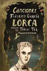 Book cover of Canciones by Tobias Tak