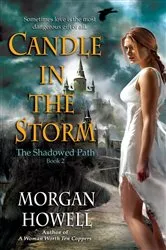 Book cover of Candle in the Storm by Morgan Howell