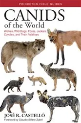 Book cover of Canids of the World by José R. Castelló