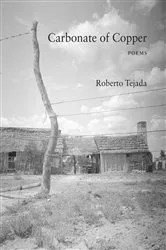 Book cover of Carbonate of Copper by Roberto Tejada