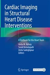 Book cover of Cardiac Imaging in Structural Heart Disease Interventions by Anita M. Kelsey