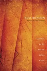Book cover of Cardinal in the Eastern White Cedar by Roo Borson