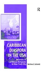 Book cover of Caribbean Diaspora in the USA by Bettina Schmidt
