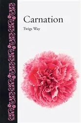 Book cover of Carnation by Twigs Way