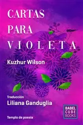 Book cover of Cartas para Violeta by Unknown