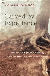 Book cover of Carved by Experience by Michal Barnea-Astrog