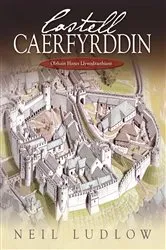 Book cover of Castell Caerfyrddin by Unknown