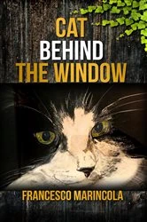 Book cover of Cat Behind the Window by Francesco Marincola