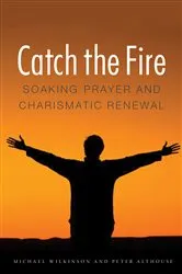 Book cover of Catch the Fire by Michael Wilkinson
