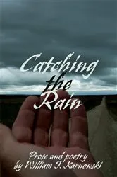 Book cover of Catching the Rain by William J. Karnowski
