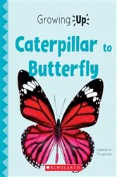 Book cover of Caterpillar to Butterfly (Growing Up) by Stephanie Fitzgerald