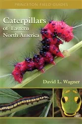 Book cover of Caterpillars of Eastern North America by David Wagner