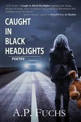 Book cover of Caught in Black Headlights by A.P. Fuchs