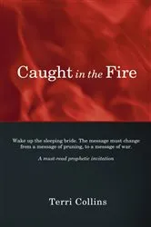 Book cover of Caught in the Fire by Terri Collins