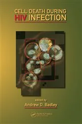 Book cover of Cell Death During HIV Infection by Andrew D. Badley