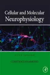 Book cover of Cellular and Molecular Neurophysiology (5th ed.) by Constance Hammond PhD
