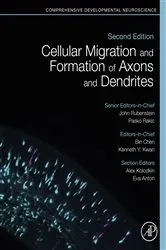 Book cover of Cellular Migration and Formation of Axons and Dendrites (2nd ed.) by Bin Chen