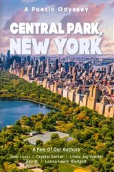 Book cover of Central Park New York by Robert Gold