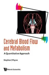 Book cover of Cerebral Blood Flow And Metabolism: A Quantitative Approach by Stephen John Payne