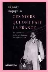 Book cover of Ces Noirs qui ont fait la France by Benoît Hopquin