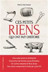 Book cover of Ces petits riens qui ont fait l'histoire by Pierre-Yves Danzé