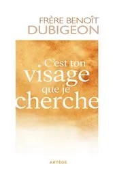 Book cover of C'est ton visage que je cherche by Benoît Dubigeon