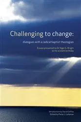 Book cover of Challenging to change by Pieter J. Lalleman